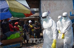 Số ca nhiễm Ebola mới tại Tây Phi tăng nhanh 
